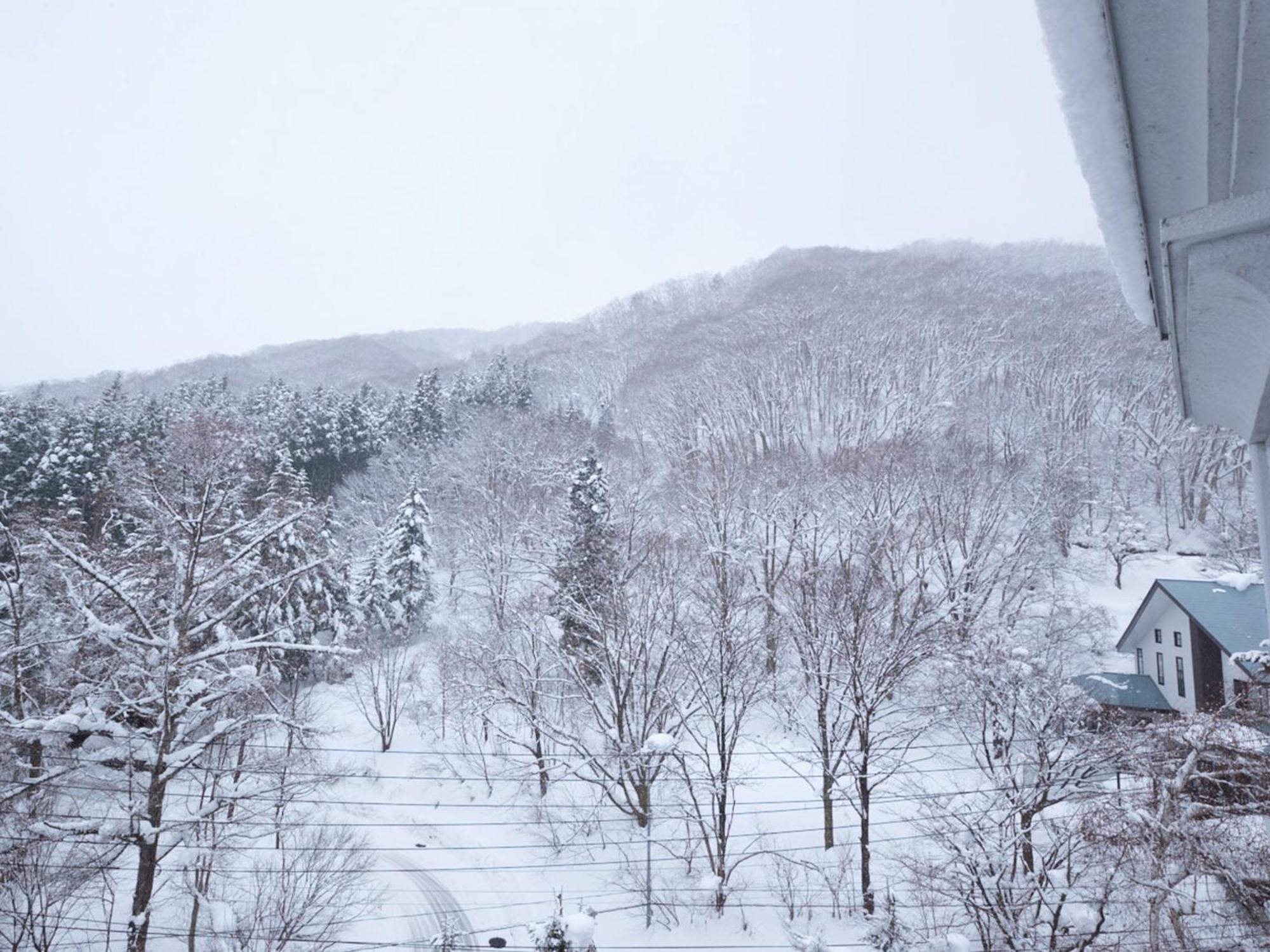 Hotel Abest Happo Aldea Hakuba Buitenkant foto