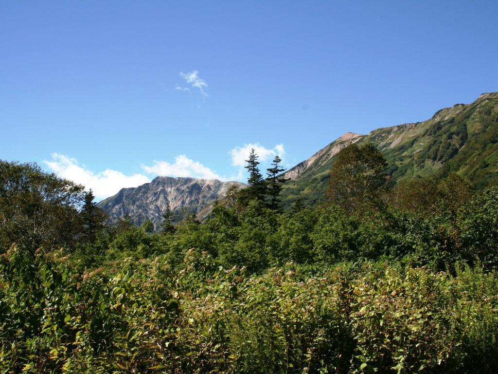 Hotel Abest Happo Aldea Hakuba Buitenkant foto