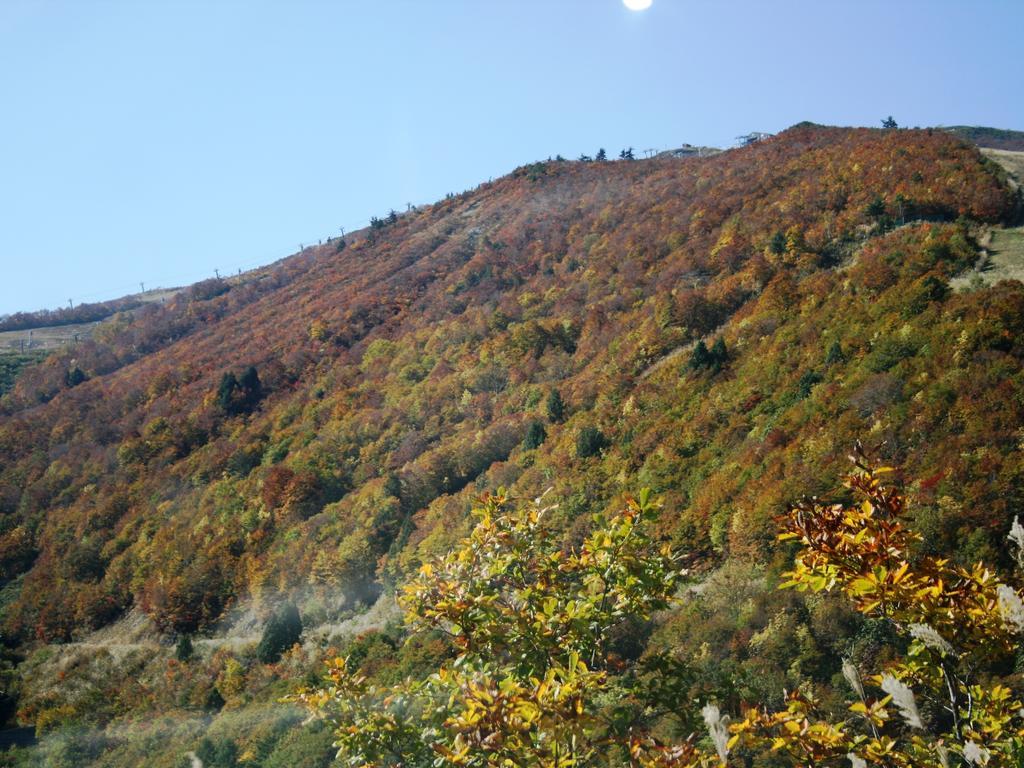 Hotel Abest Happo Aldea Hakuba Buitenkant foto